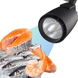 Reflektor LED Szynowy do Ryb i Owoców Morza 24W 6000K