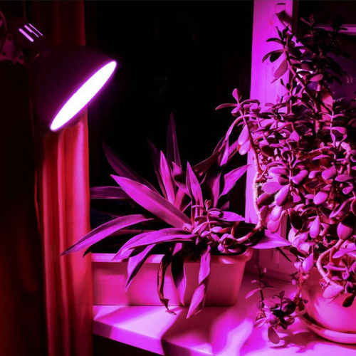 Żarówka LED do uprawy roślin VIDEX-E27-A60-8W-FITO