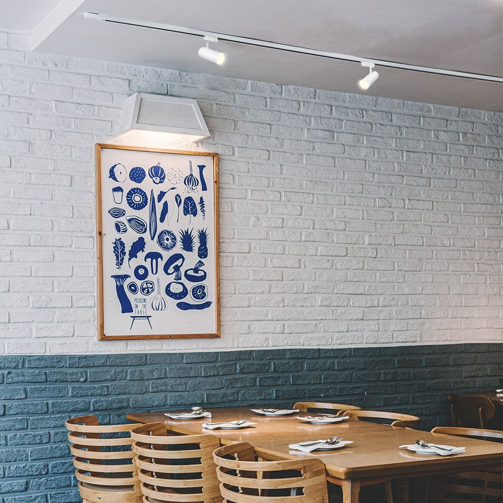 Oświetlenie szynowe Videx LED TOR 10W Białe