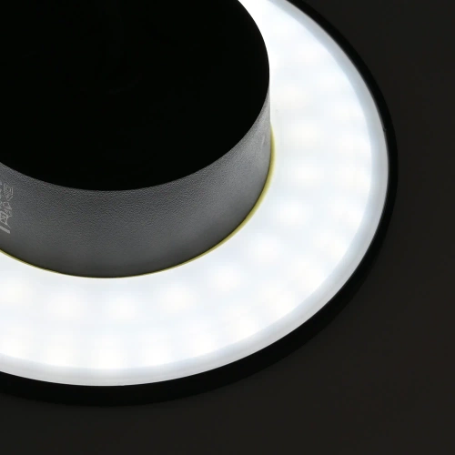 Kinkiet LED IP65 VIDEX 12W regulowana barwa czarny