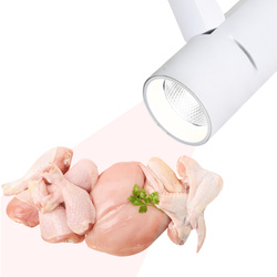 Lampa Reflektor szynowy do Białego Świeżego Mięsa LED 30W Biały | Barwa 3100K